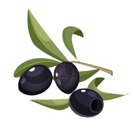 Black whole olives with leaves isolated on white background