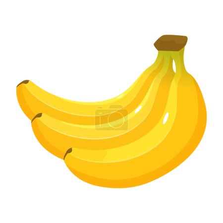 Ein Bündel frischer tropischer Bananen isoliert auf weißem Hintergrund.