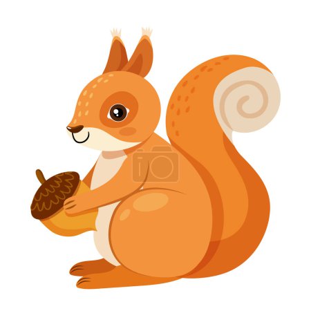 Cartoon cute squirell sitting with acorn in hands isolated on white background.
