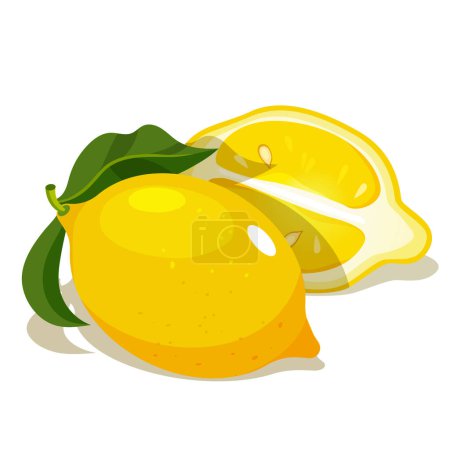 Vector entero y medio frutas frescas de limón con hojas aisladas sobre fondo blanco.