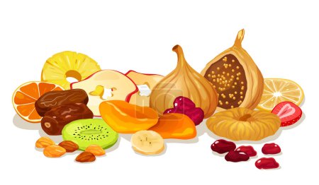 Illustration for Vector cartoon illustration of natural dried fruits and berries isolated on white background. - Royalty Free Image