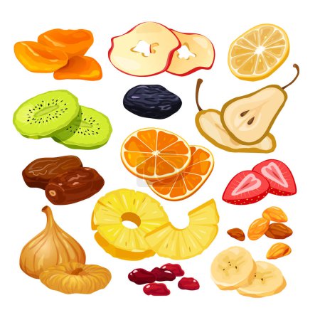 Dried fruits vector cartoon illustration with whole and sliced different natural sweet products.