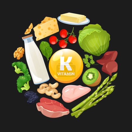 Illustration vectorielle des produits enrichis en vitamine K.