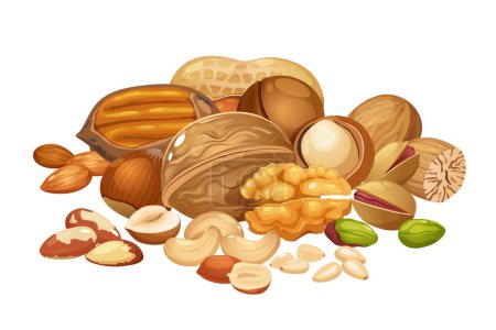 Ilustración de Diferentes colecciones de nueces incluyen anacardo, nueces, macadamia, nuez de Brasil, pacana, avellana, cacahuete, pistachos, nuez moscada, piñones, almendras. - Imagen libre de derechos