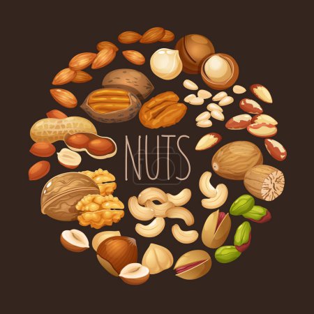 Different nuts types in round frame with lettering isolated on brown background.