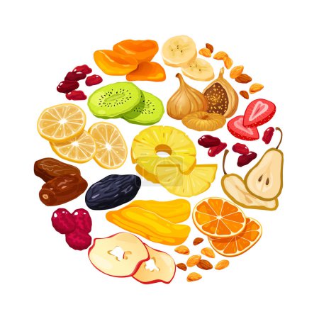 Illustration for Vector cartoon dried fruits and berries in round form isolated on white background. - Royalty Free Image