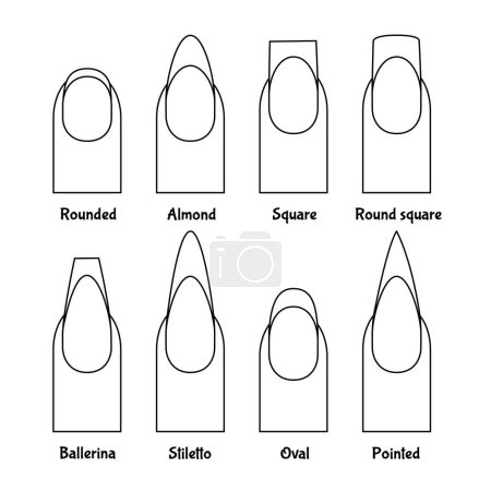 Linienillustration von gepflegten Nägeln mit unterschiedlichen Formen und ihren Namen.