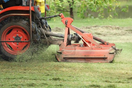 Photo for Lawn mower cutting lawn grass - Royalty Free Image