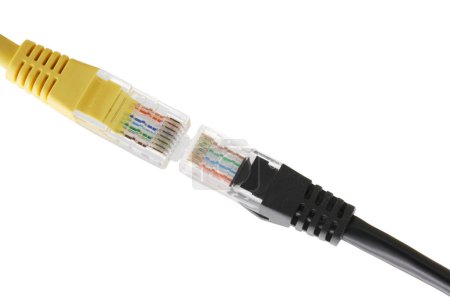 Foto de Cables de red amarillos y negros con enchufe RJ45 moldeado aislado sobre fondo blanco - Imagen libre de derechos
