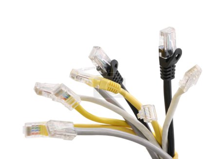 Foto de Cables de red multicolores con enchufe RJ45 moldeado aislado sobre fondo blanco - Imagen libre de derechos