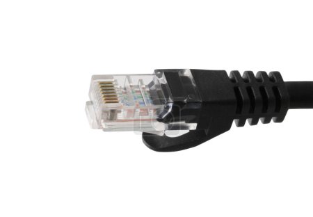 Foto de Cables de red negros con enchufe RJ45 moldeado aislado sobre fondo blanco - Imagen libre de derechos