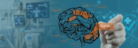 Medical Study of Brain Functions and Regions Eine detaillierte Abbildung, die verschiedene Gehirnfunktionen und -regionen zeigt, überlagert mit einer Hand, die auf den Sehbereich zeigt, vor medizinischem Hintergrund