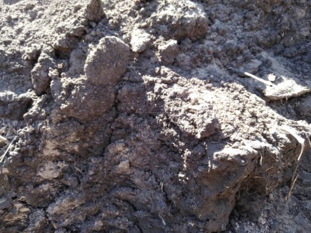 Soil. Disturbed ground. Soil texture. Excavated earth.