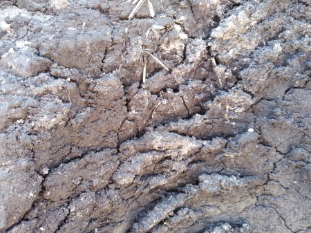Photo for Soil. Disturbed ground. Soil texture. Excavated earth. - Royalty Free Image