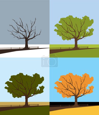 Jahreszeiten. Winter Frühling Sommer Herbst. Einsamer Baum. Umweltzyklen. Vektorbild für Drucke, Poster und Illustrationen.