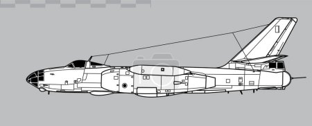 Illustration for Ilyushin Il-28 Beagle. Harbin H-5. Vector drawing of early jet tactical bomber. Side view. Image for illustration and infographics. - Royalty Free Image