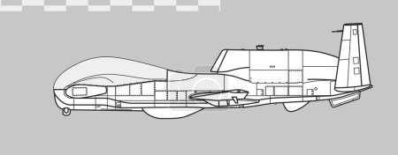 Illustration for Northrop Grumman MQ-4C Triton. Vector drawing of navy surveillance UAV. Side view. Image for illustration and infographics. - Royalty Free Image