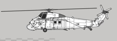 Ilustración de Westland Wessex HU.5. Dibujo vectorial de helicóptero multifunción. Vista lateral. Imagen para ilustración e infografía. - Imagen libre de derechos