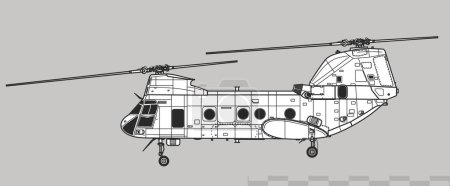 Ilustración de Boeing Vertol CH-46 Sea Knight. Dibujo vectorial del helicóptero de transporte naval. Vista lateral. Imagen para ilustración e infografía. - Imagen libre de derechos