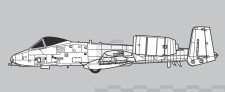 Ilustración de Fairchild Republic A-10 Thunderbolt II. Dibujo vectorial de aviones de ataque de apoyo aéreo cercano. Vista lateral. Imagen para ilustración e infografía. - Imagen libre de derechos