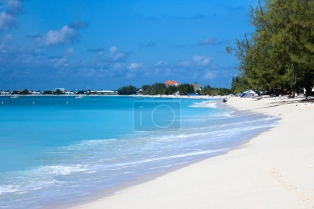 Photo for Seven mile beach, Cayman Islands - Royalty Free Image