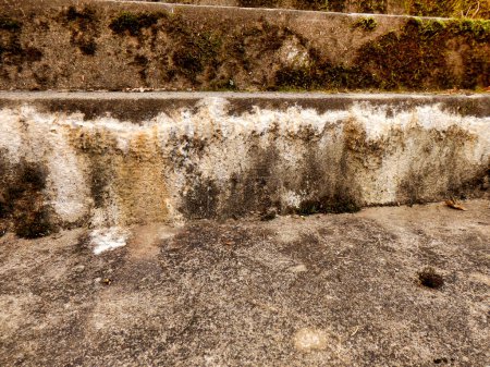 Photo for White substance oozing from concrete steps. Known as concrete efflorescence and caused by salts leeching through damp concrete. Can be sticky at first and turn fluffy when it dries out - Royalty Free Image