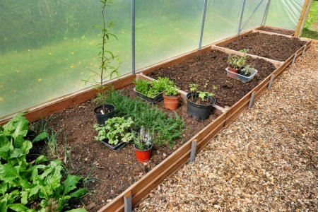 Photo for Polytunnel under construction - Staging supports connected polytonal hoops and vegetable beds being constructed in situ with a wood chippings pathway - Royalty Free Image