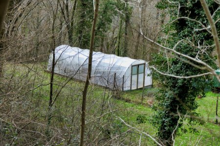 Photo for Polytunnel hidden away in a woodland open area - Royalty Free Image