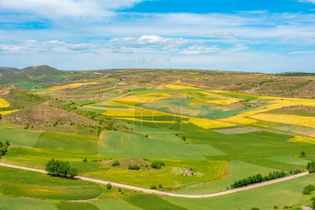 Photo for Agricultural landscape of Castilla-La Mancha region in Spain. - Royalty Free Image