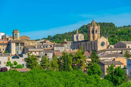 Photo for Aerial view of Vallbona de les Monges, Spain. - Royalty Free Image