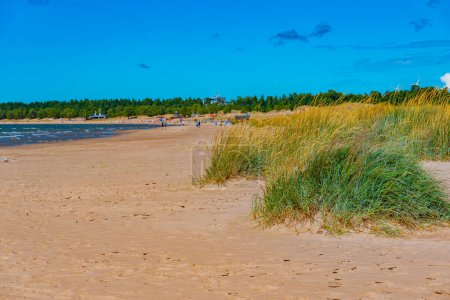 Foto de Dunas de arena en la playa de Yyteri en Finlandia. - Imagen libre de derechos