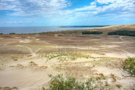 Photo for Parnidis dune at Curonian spit in Lithuania. - Royalty Free Image