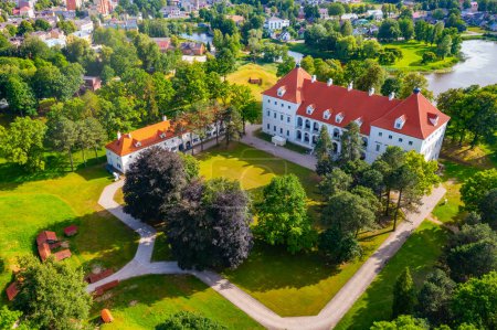 Téléchargez les photos : Vue aérienne du château de Birzai en Lituanie. - en image libre de droit