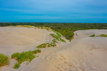 Foto de Milla de Rabjerg dunas de arena en Dinamarca - Imagen libre de derechos