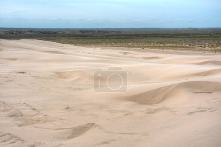 Foto de Milla de Rabjerg dunas de arena en Dinamarca - Imagen libre de derechos