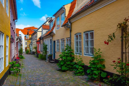 Rue colorée dans la ville danoise Aalborg.