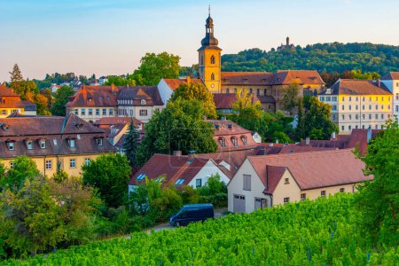 Foto de Casco antiguo de Bamberg visto detrás de viñedos. - Imagen libre de derechos
