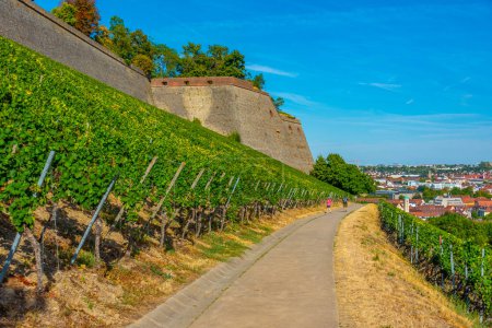 Photo for Marienberg fortress in Wurzburg, Germany. - Royalty Free Image