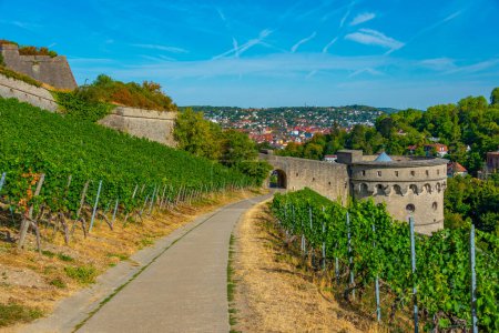 Photo for Marienberg fortress in Wurzburg, Germany. - Royalty Free Image