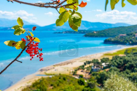 Foto de Vista panorámica de la playa de Kalamaki en la isla de Corfú, Grecia. - Imagen libre de derechos