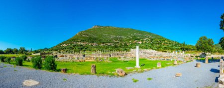 Téléchargez les photos : Asklepieion du site archéologique de Messini antique en Grèce. - en image libre de droit