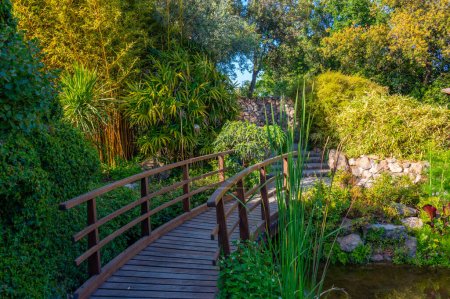 Téléchargez les photos : Vue sur les jardins de Giardini la Mortella à Ischia, Italie. - en image libre de droit
