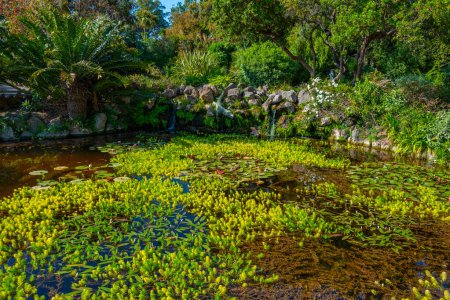 Téléchargez les photos : Vue sur les jardins de Giardini la Mortella à Ischia, Italie. - en image libre de droit
