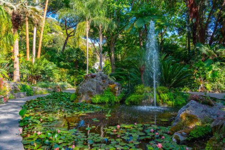 Téléchargez les photos : Fontaine dans les jardins de Giardini la Mortella à Ischia, Italie. - en image libre de droit