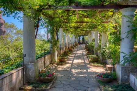 Téléchargez les photos : Terrasse à la Villa San Michele à Anacapri, Italie. - en image libre de droit