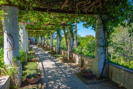 Terrasse à la Villa San Michele à Anacapri, Italie.