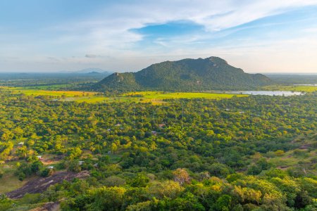 Téléchargez les photos : Vue aérienne du paysage verdoyant près de la montagne Mihintale au Sri Lanka. - en image libre de droit