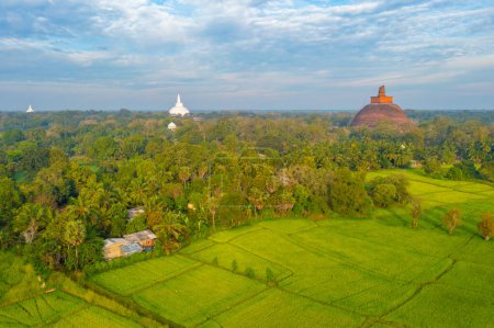 Photo for Aerial view of Annuradhapura ancient site in Sri Lanka. - Royalty Free Image