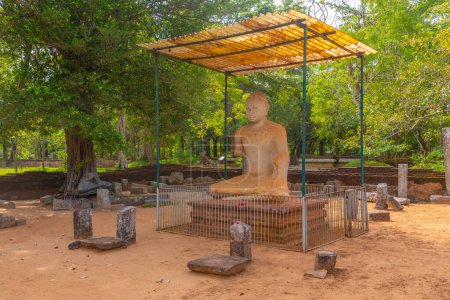 Téléchargez les photos : Statue du Bouddha Samadhi à Anuradhapura au Sri Lanka. - en image libre de droit