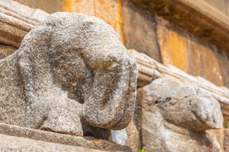 Photo for Elephant carving at abhayagiri dagoba at Anuradhapura at Sri Lanka. - Royalty Free Image